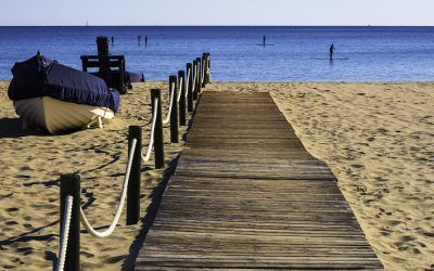 La Mañana de la Costa 16 de noviembre de 2021